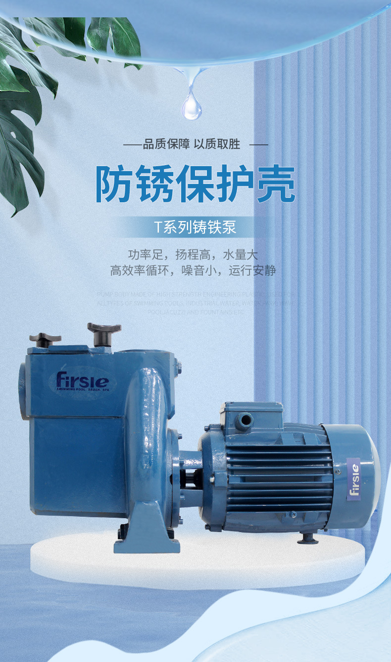 法思樂T系列鑄鐵循環(huán)水泵(圖1)