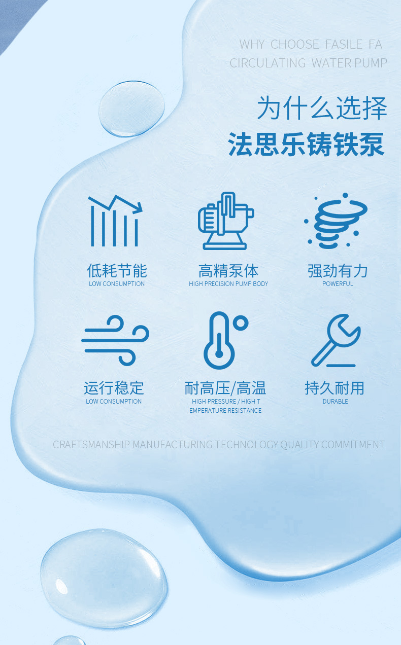 法思樂T系列鑄鐵循環(huán)水泵(圖2)