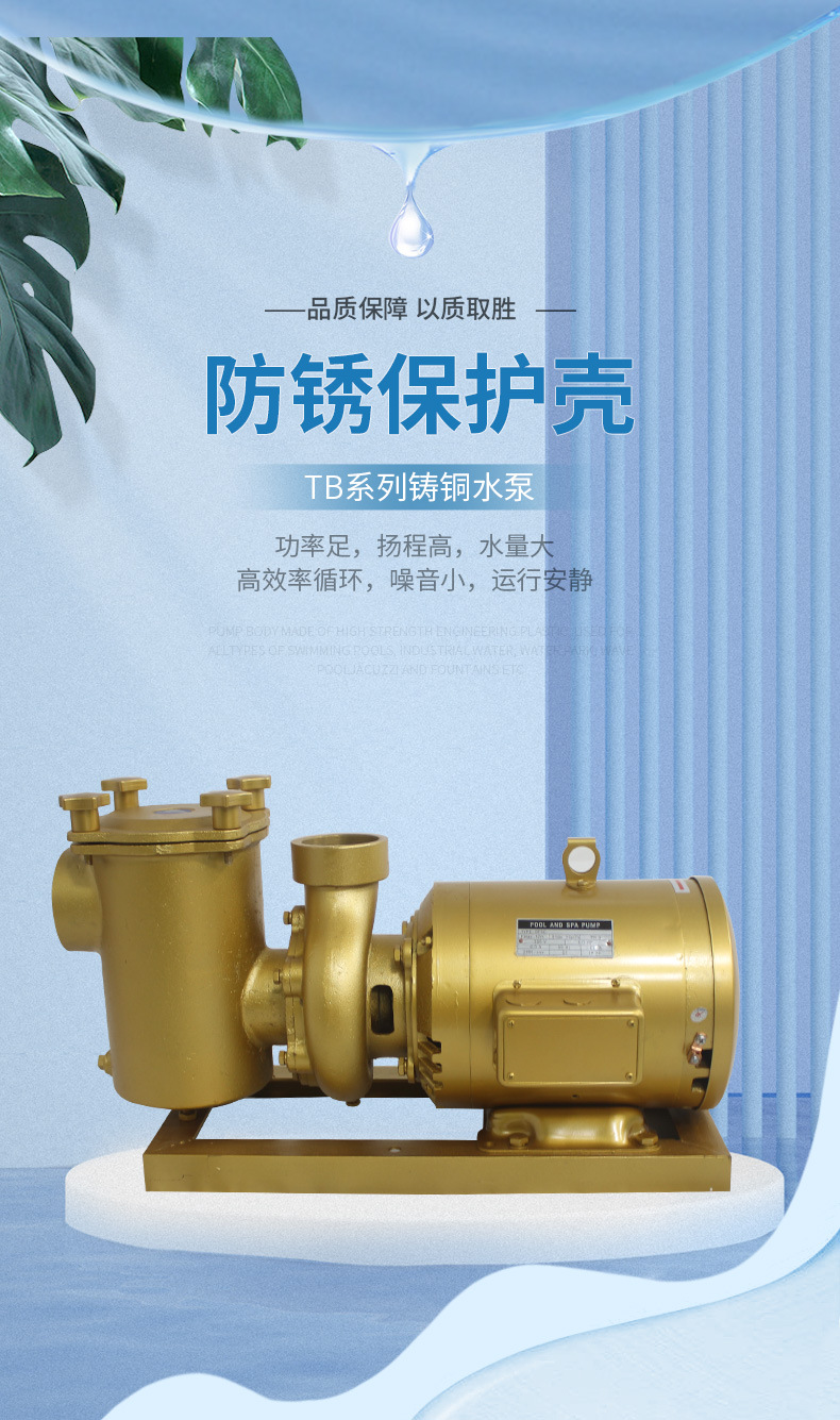 法思樂(lè)TB系列鑄銅循環(huán)水泵(圖1)