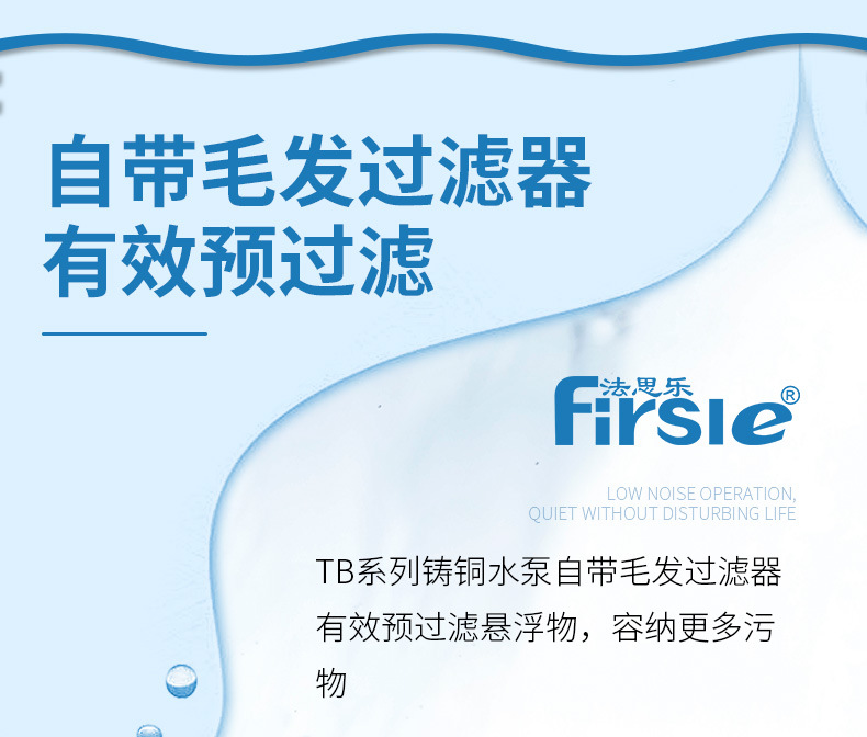 法思樂(lè)TB系列鑄銅循環(huán)水泵(圖6)